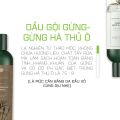 Bộ Dầu Gội Weilaiya Chính Hãng Tinh Chất Gừng (Nhãn Trắng) Hỗ Trợ Mọc Tóc Ngăn Rụng Tóc - Cho Da Dầu. 