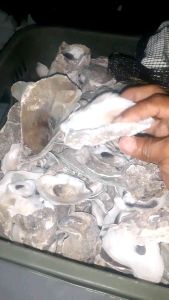 TERMURAH PAKET HEMAT DAN SIMPLE PAKET MEDIA FILTER 6 in 1 AQUARIUM DAN KOLAM