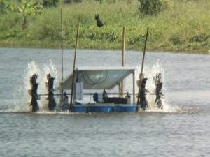 แป้นยึดสเตอร์ แป้นยึดสเตอร์เครื่องตีน้ำ แป้นยึดสเตอร์รถ แป้นยึดสเตอร์ขนาด 1 นิ้ว  ที่ยึดสเตอร์ แป้นยึด อุปกรถ์เสริมบ่อกุ้งบ่อน้ำ