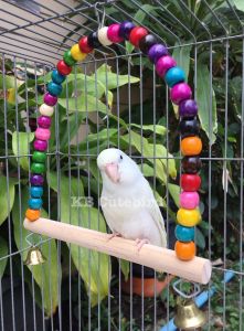 ชิงช้าลูกปัดไม้สําหรับนก ฐานไม้/ของเล่น