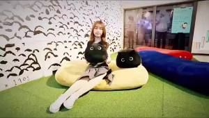 30-55cm Black Cat Plush Doll Toy Animal Pillow plushie stuffed toy black cat plushie Gift For Girl