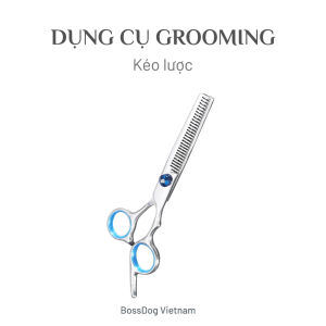 Bộ dụng cụ cắt tỉa lông - Tông đơ cho chó mèo - Kéo cắt tỉa lông thú cưng  | BossDog