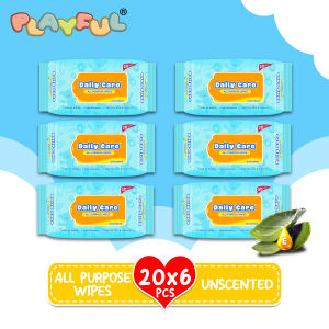 Daily Care All Purpose Wipes Unscented Blue 20s pack of 6