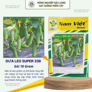 Hạt Giống F1 Dưa Leo SUPER 339 Nam Việt – Siêu Rộ Trái Trái Xanh Bóng 18–20cm – Gói 10g