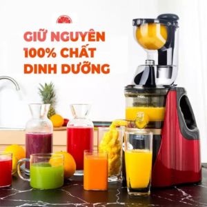 .Máy Ép Chậm Hoa Quả Hongxin RH-312-Máy Ép Trái Cây Giữ 98% Lượng NướcTặng Kèm 2 Cốc Đựng-Bảo Hành 12 Tháng .Máy ép chậm hoa quả Hongxing RH-312 ép rau củ hoa quả máy ép chậm trái cây - Bảo hành 12 tháng .