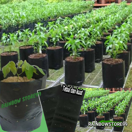 polibag tanaman ukuran 40x40 cm berat 1 kg / polybek tanaman berat 1 kg ...