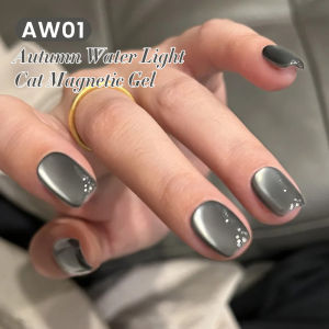BORN PRETTY 10ml Black Glass Cat Eye Gel Nail Art Polish Punk Style Nail Art Manicure Varnis Semi Permanent Gel for Winter Nail