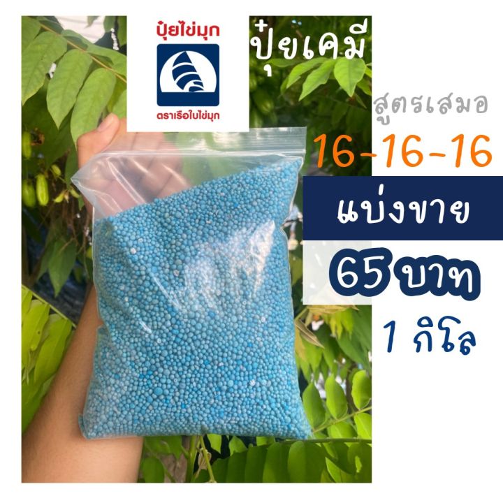 ปุ๋ยสูตร 16-16-16 ตราไข่มุกบลู สูตรเสมอ (เเบ่งขาย) | Lazada.co.th
