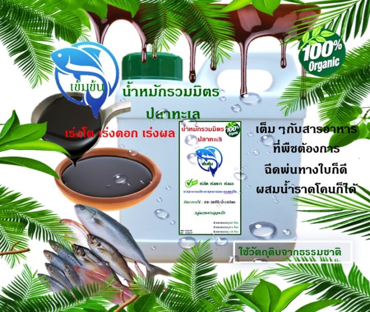น้ำหมักปลาทะเล สาหร่ายสกัด อะมิโน บำรุงพืชอินทรีย์