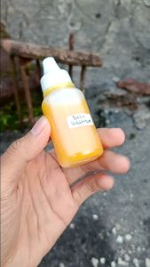 Essen Oplosan BOLU BUBBLEGUM untuk Kolam Lomba Galatama & Galapung Kilogebrus