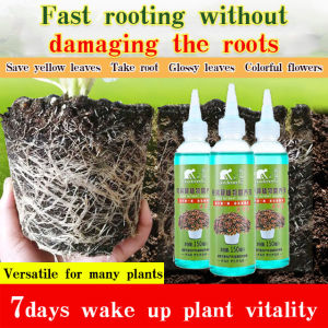 Plant Nutrient Solution