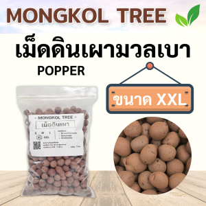 เม็ดดินเผามวลเบา Popper🌰 1 ลิตร S M L XL XXL เม็ดปอปเปอร์ Mongkol Tree Family วัสดุปลูก โรยหน้ากระถาง ผสมดินปลูก รองกระถาง เพิ่มความโปร่ง เก็บความชื้น