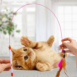 Đồ chơi cho mèo - Cần Câu Mèo Dây Thép Đồ chơi cần câu mèo gắn lông vũ Đồ chơi mèo cần câu mèo dây thép gắng lông vũ
