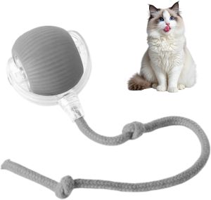 PetPhindU Bite-Resistant Automatic Cat Ball Cat Toy Ball Self-Entertainment Artifact with RopeSupplies Jumping Ball Rechargeable Automatic Silent Toy Suitable for Cats and Dogs (Green)