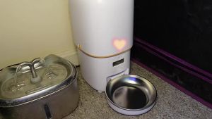 tz Automatic  Feeder Cat Food Dispenser Dog 2L 4L Timed bekas makanan kucing automatik murah Stainless Steel Bowl