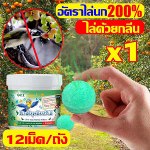 🦜50 ปีไม่มีนก🐦ไล่นก ก้อนไล่นกพิราบ ก้อนไล่นกพิราป 12เม็ด/กล่อง กลิ่นขับไล่นก กันนกออกไปได้อย่างง่ายดาย ไม่กลัวฝน ผลที่ยาวนาน สะดวกรวดเร็ว กันฝน กันแดด ปลอดภัยไร้สารพิษ ไล่นกพิราบถาวร ไล่นกได้ผลดี ก้อนไฟป่าไล่นก