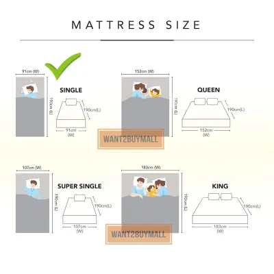 🇲🇾 🏆Hot Selling🔥 Dreamland Chiro 12 Inches I Deal MiraCoil Super Single Queen King Size Mattress Tilam Double