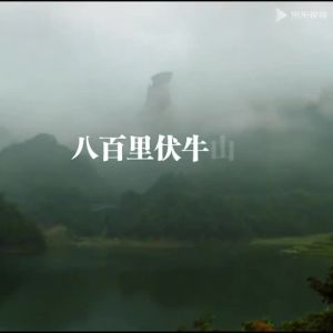正品生姜贴艾灸贴艾叶贴艾草膝盖贴肩周颈椎贴风湿疼痛膏药贴专用Pelekat halia tulen pelekat moxibustion pelekat daun mugwort wormwood pelekat lutut pelekat tulang belakang serviks plaster sakit reumatik tampalan khas