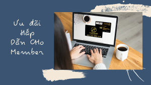 [HCM]BỢ SAU ĐẦU ĐÈN SIRIUS HELLO ĐEN