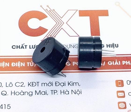 Passive Buzzer DIP 1208-TS (2c)