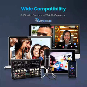 HAYNER-SEEK Podcast Equipment Bundle: Sound Card & Condenser Mic Kit with Auto Tune HS-AP201