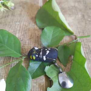 soft frog umpan gabus toman 3 cm abstrak pamcing modern