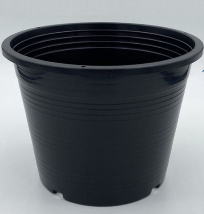 5 อันดับกระถางต้นไม้ 8 นิ้วยอดนิยม อัปเดตปี 2025 สำหรับสวนสวยของคุณ