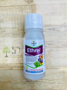 ETHREL100 ml PEMATANG BUAH DARI BAYER
