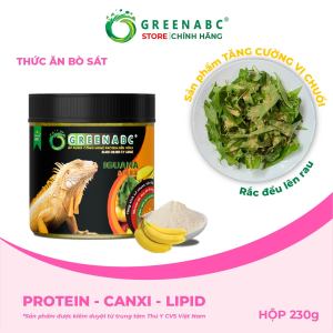 Thức ăn Iguana Trưởng Thành GREENABC. Vị chuối dùng cho Iguana từ 1m trở lên – Gai bung gù cao dáng đẹp lên màu tươi