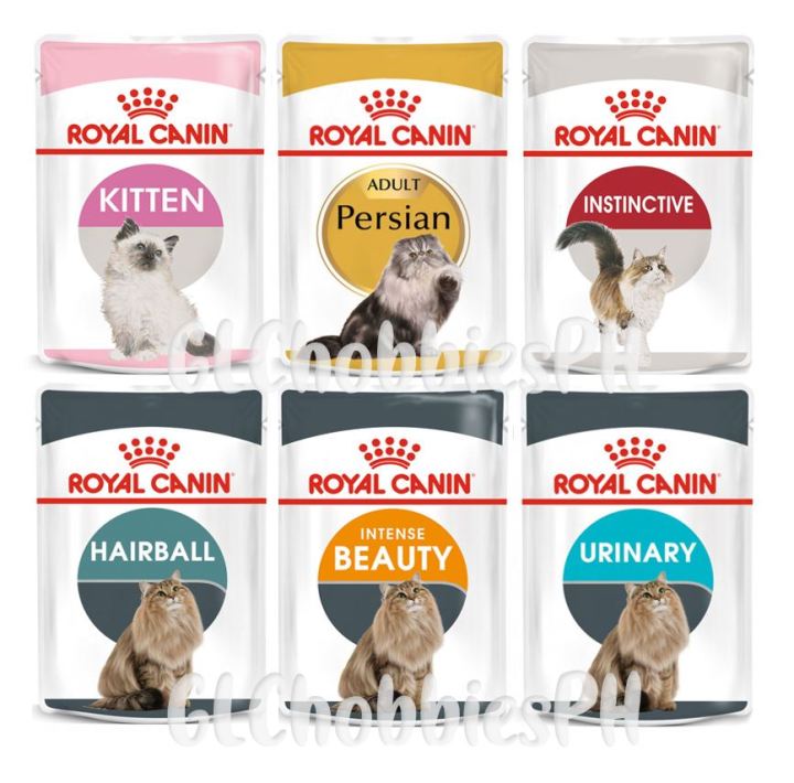 Royal 2024 canin flavors