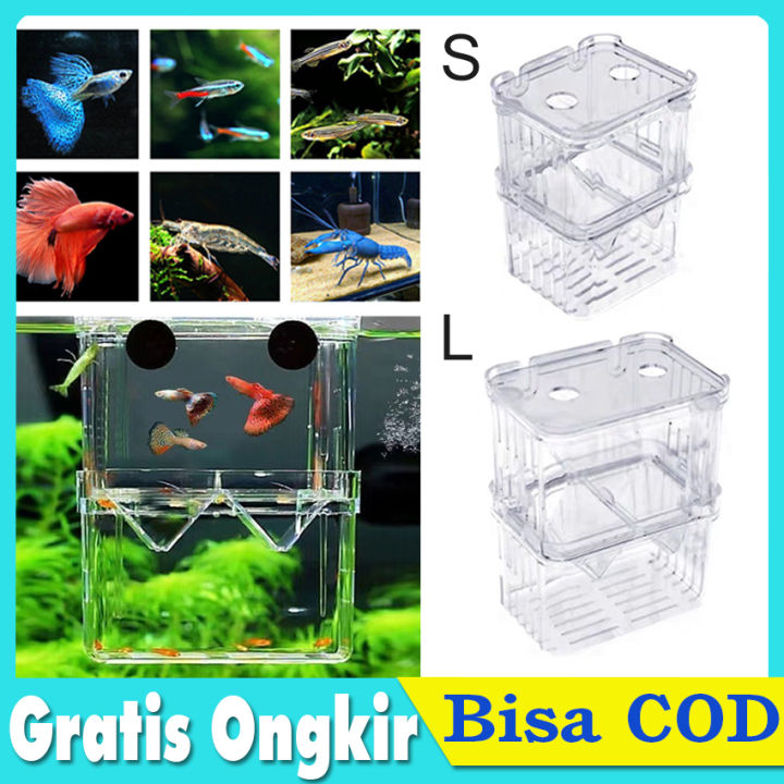 carp fishing big pit reels What Size Reel for Carp?  TackleFlagship