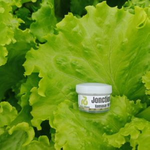 Benih Jonction RZ Junction RZ 100 Pills Flo Hidroponik