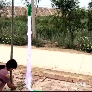 Garden Plant Climbing Net cucumber vegetables trellis net White Nylon Support Mesh 2MX100M MS