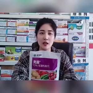 ( Hot Sale Agriculture ) DuPont Kelu mancozeb Cucumber Lychee Grape Downy Mildew Morning and Evening Blight Fungicide 100 Gram