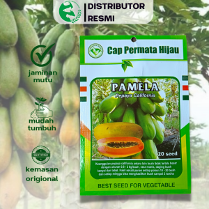 Benih Pepaya California Hibrida PAMELA 20 seed Unggul CAP PERMATA HIJAU