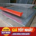 LỒNG NUÔI CHIM CÚT-CHUỒNG NUÔI CÚT ĐẺ-CHUỒNG NUÔI CÚT CÔNG NGHIỆP. 
