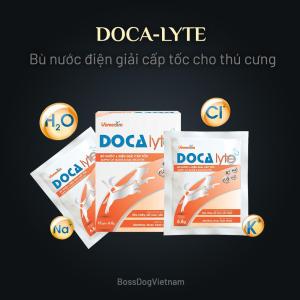 Bù nước điện giải cấp tốc cho thú cưng Doca-lyte | BossDog
