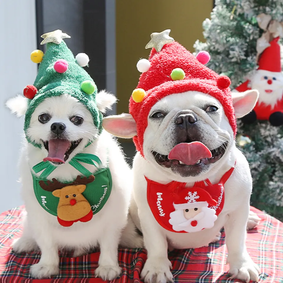 Cat Santa Hat - Christmas Pet Santa Hat, Holiday Photo Prop