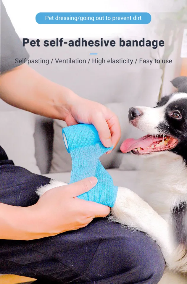 Dog wound clearance sock