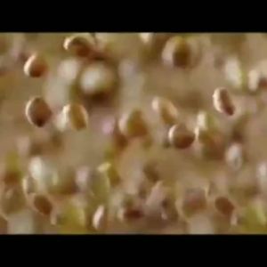 北京二锅头粮食正品42/52/60度浓香型高度5/2.5L散装