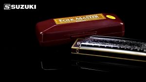 C major 10-hole bronze harmonica blues harmonica with case suitable for beginners and children