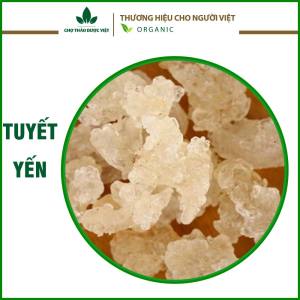 500g Tuyết Yến (Chè Dưỡng Nhan Tuyết Yến Tuyết Yến Kéo Sợi)