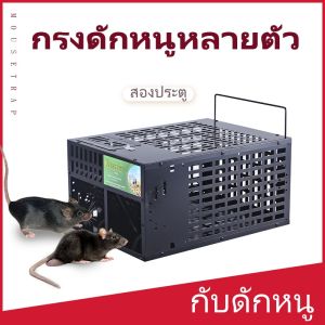 อัพเกรดใหม่ 2024 การจัดส่งรวด ดักหนู ใช้ได้จริง ประสิทธิภาพสูง