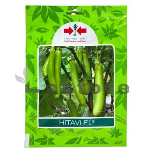 Benih Terong Hijau HITAVI F1 Isi 400 Butir Cap Panah Merah