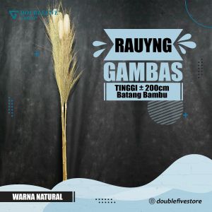 HIASAN RUMAH BAMBU ULIR RAYUNG BESAR Per batang DEKORASI BAMBU ULIR ( TIDAK TERMASUK VAS/POT ) dan Rayung Pampas Per Ikat - Rayung gambas Pampas