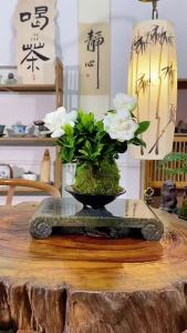 Gardenia Jasminoides/ Gardenia Jasminoides Flower Seeeeds White Color 栀子花 花