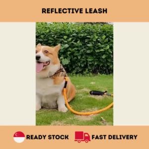 [SG] Strong Dog Leash Rope Reflective Tangle Free with Comfortable Padded Handle