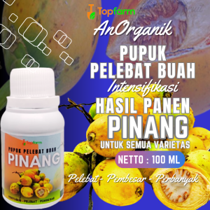 Pupuk Pinang Agar Cepat Berbuah / Pupuk Buah Untuk Pinang / Bubuk Buah Pinang Tua / Pupuk Khusus Buah Pinang / Pupuk Pinang Pelebat Buah
