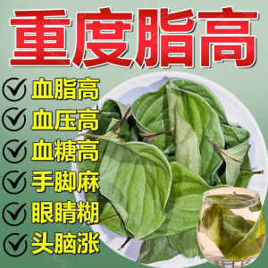 Persimmon Leaf Health Tea 柿子叶养生茶