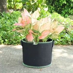 Garden Plant Grow Bags Non-woven Fabric Beg Tanaman Vegetable Fabric Planting Box with handles 种植袋